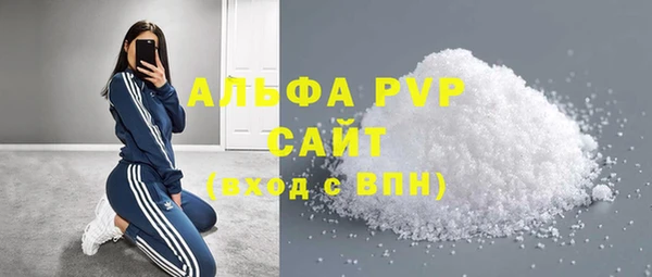 стаф Алзамай
