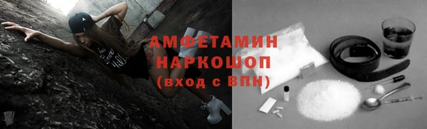 стаф Алзамай