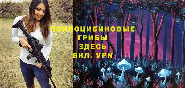 стаф Алзамай