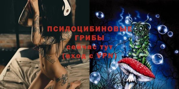 стаф Алзамай