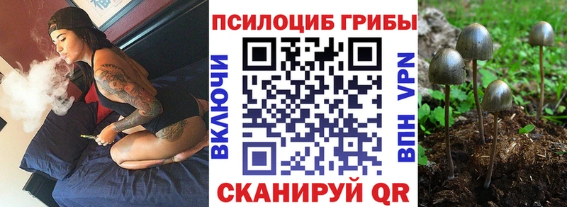 Галлюциногенные грибы MAGIC MUSHROOMS цены Николаевск-на-Амуре