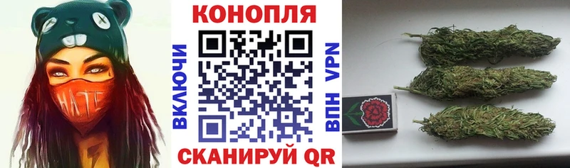 Канабис OG Kush  продажа наркотиков  mega сайт  Николаевск-на-Амуре 